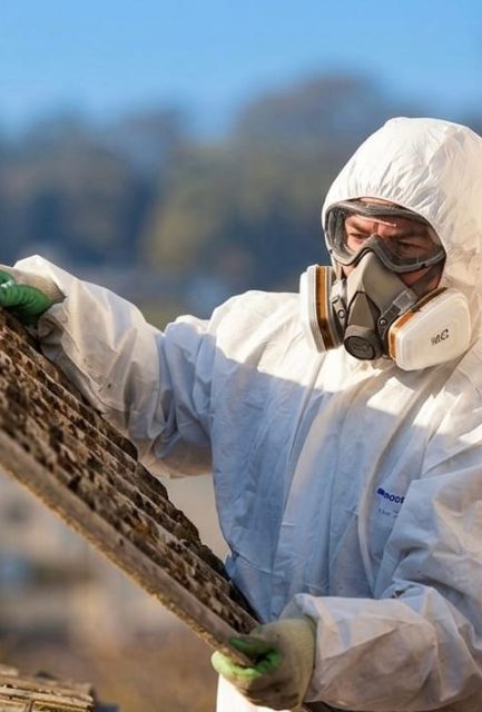 UKATA-trained operative in full PPE carefully lifting a degraded corrugated asbestos cement sheet from a Surrey residential property